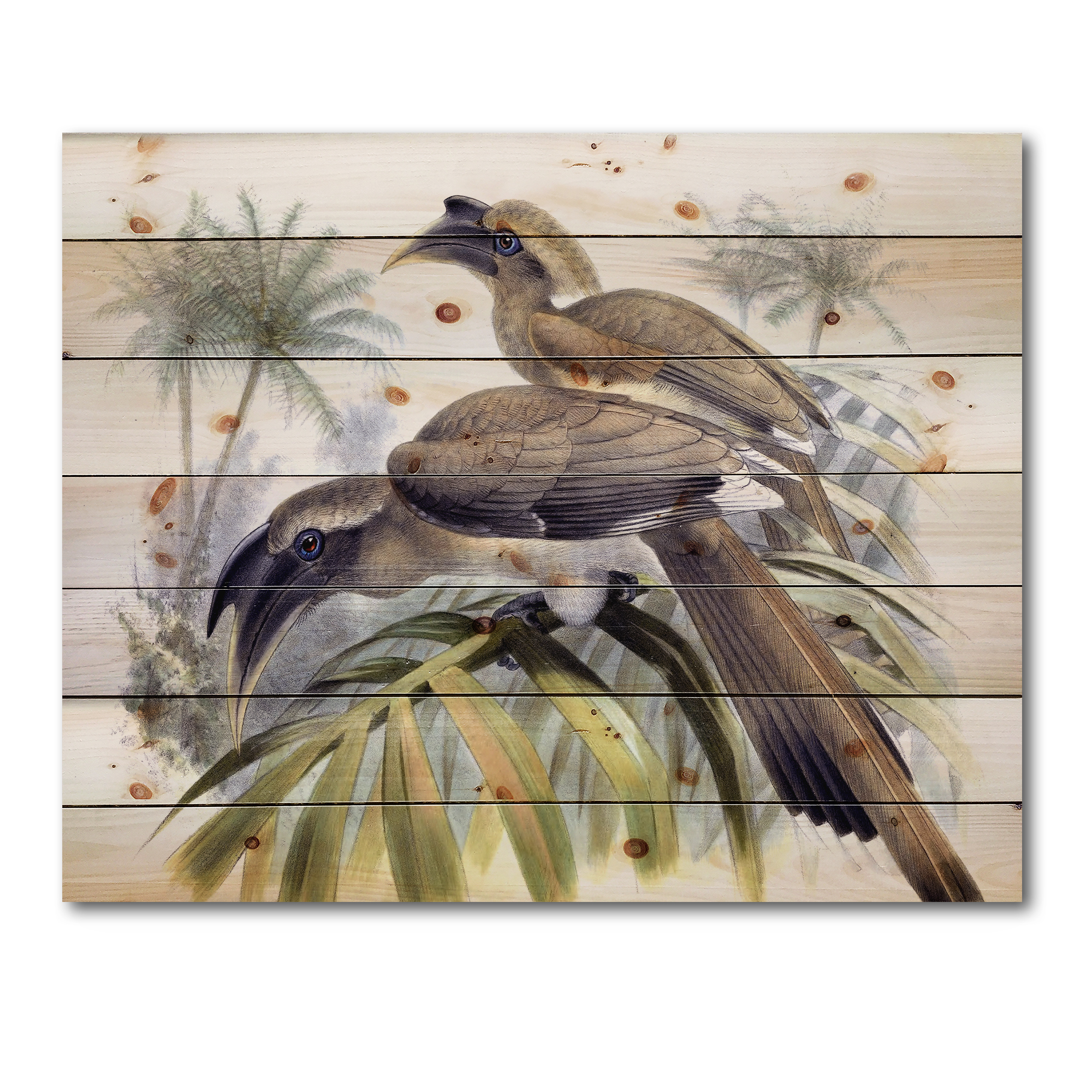 Designart 'Ancient Australian Birds XIV' Traditional Print on Natural Pine Wood