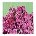 thumbnail image 2 of Ambesonne Lilac Shower Curtain, Macro Pinkish Petals Spring, 69"Wx84"L, Pastel Green Pale Fuchsia, 2 of 4