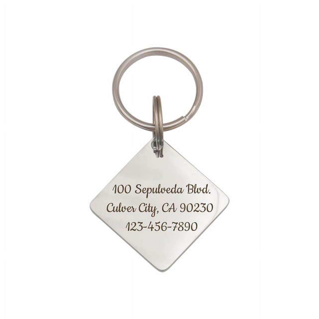 Anavia Stainless Steel Double Sided Diamond Name - Animal Face Engraved Dog & Cat ID Tag, Silver, L