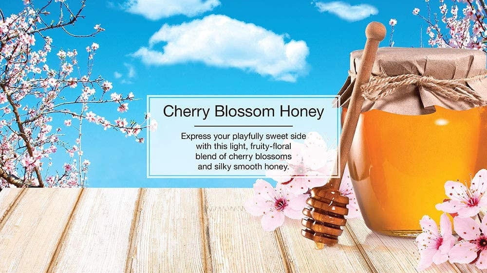 Little Trees 60476 Cherry Blossom Honey Air Freshener for Car & Home 24 Pack!