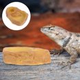 thumbnail image 4 of Shisuyan Turtle Water Dish Feeding Basin Orange 1Set Safe Feeding for Reptiles, 4 of 8