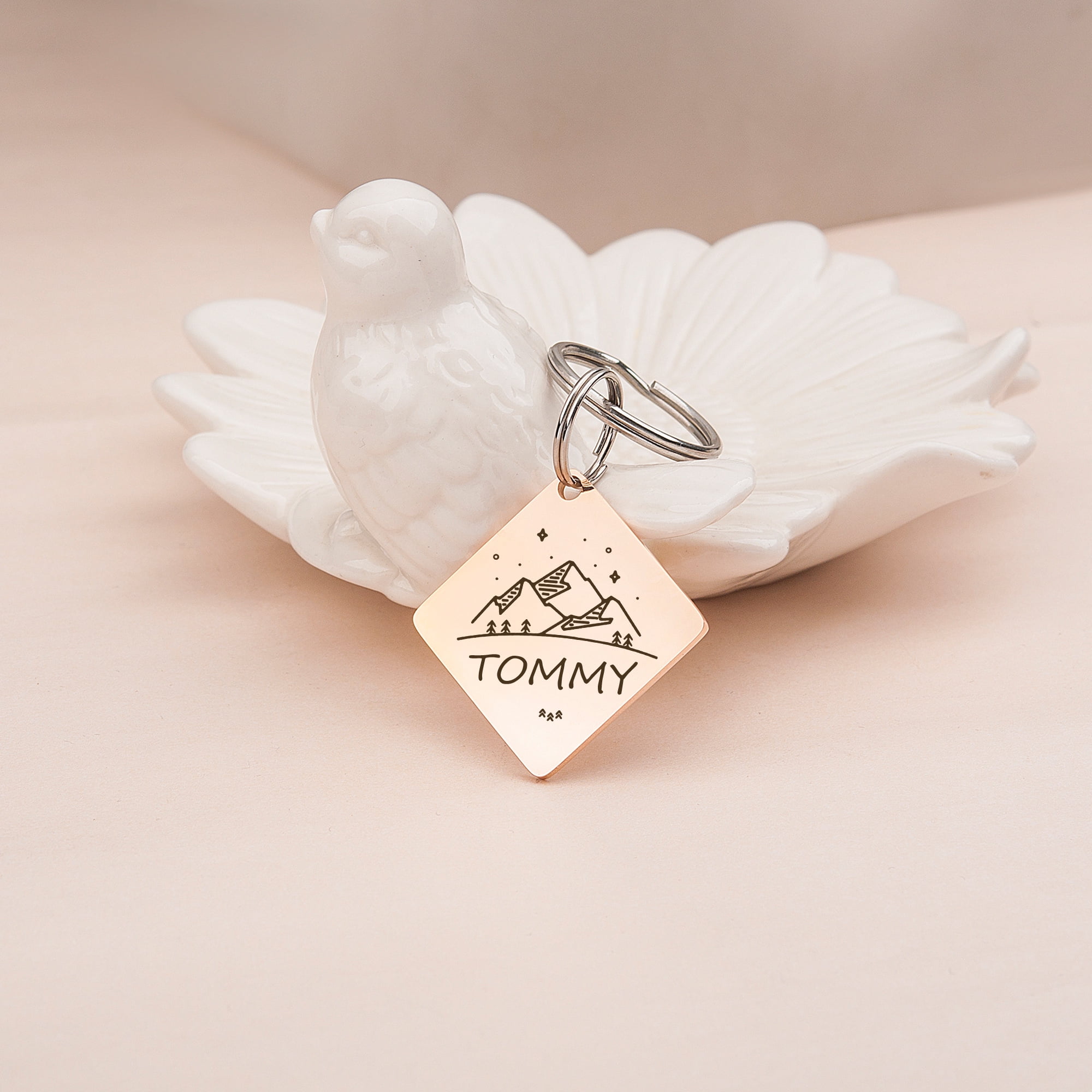 Anavia Stainless Steel Double Sided Diamond Name - Large Picture Engraved Dog & Cat ID Tag, Rose Gold, L