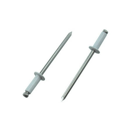 1/4 Inch Rivet - #44 (1/8