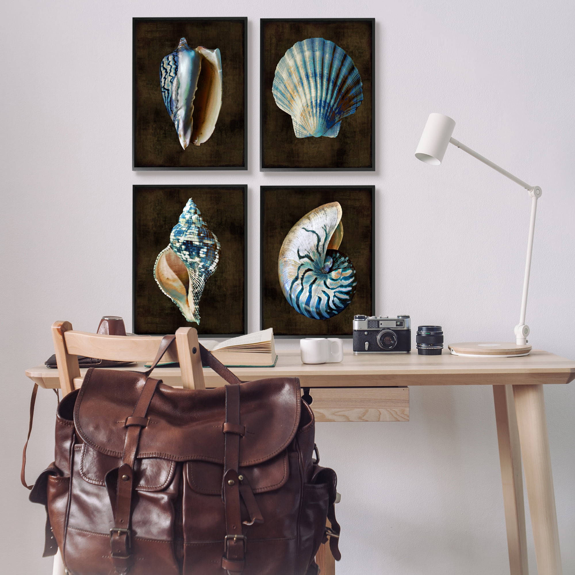Stupell Industries Seashells on Black Animals & Insects Painting Black Framed Art Print Wall Art, 16 x 20, Set of 4