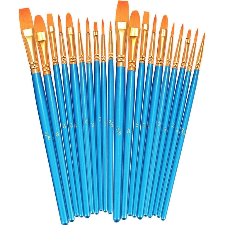 Paint Brushes Set, 2 Pack 20 Pcs Round Pointed Tip Paintbrushes Nylon Hair  Artist Acrylic Paint Brushes for Acrylic Oil Watercolor, Face Nail Art,  Miniature Detailing and Rock Painting, Blue 