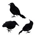 thumbnail image 2 of Jollyzo 3-Pack Halloween Black-Feathered Crow Decorations - Realistic Artificial Black Feathered Crows for Halloween Party & Outdoor/Indoor Decorations, 2 of 6