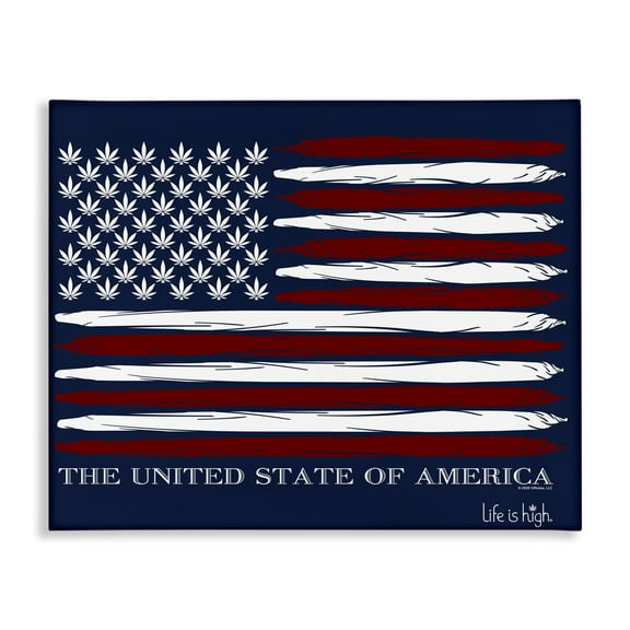 Stupell Industries Herb America Flag Novelty & Humor Painting Wrapped Canvas Art Print Wall Art, 20 x 16