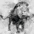 thumbnail image 3 of Robinson, Carol 15x15 Black Modern Framed Museum Art Print Titled - Lion, 3 of 5