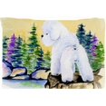 thumbnail image 1 of Carolines Treasures SS8010PILLOWCASE Bichon Frise Tissu Anti-Humidité Taie d'Oreiller Standard - 20 x 30 Po., 1 of 2