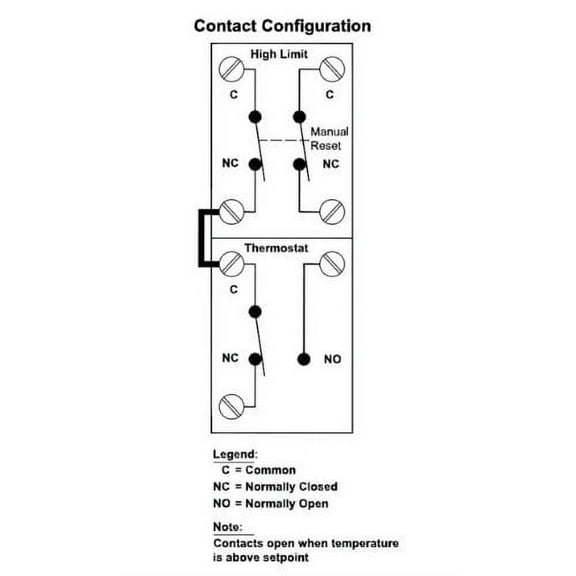 Rheem SP11698 Electric Thermostat, Black
