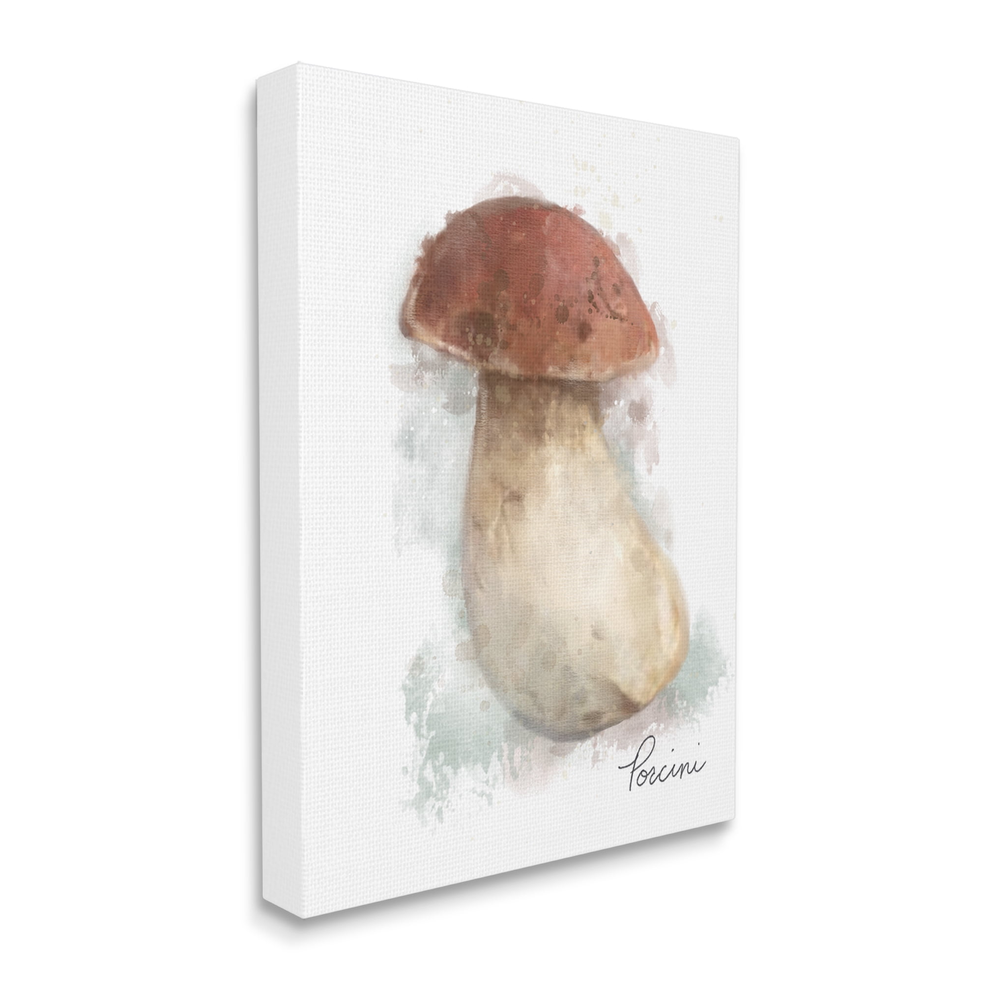 Stupell Industries Abstract Porcini Mushroom Botanical & Floral Painting Gallery Wrapped Canvas Art Print Wall Art, 24 x 30