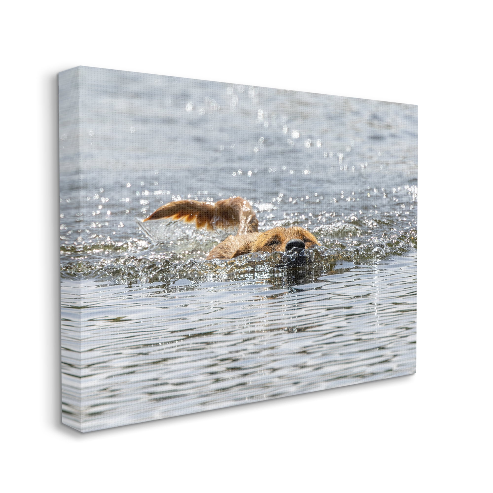 Stupell Industries Dog Swimming in Ocean Animals & Insects Photography Gallery Wrapped Canvas Art Print Wall Art, 20 x 16