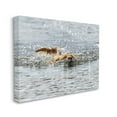 thumbnail image 4 of Stupell Industries Dog Swimming in Ocean Animals & Insects Photography Gallery Wrapped Canvas Art Print Wall Art, 40 x 30, 4 of 8