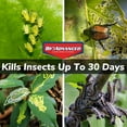 thumbnail image 3 of BioAdvanced 701290B Insecticide Fungicide Miticide 3-in-1 Insect, Disease & Mite Control, 24 oz, Ready-to-Use, 3 of 9