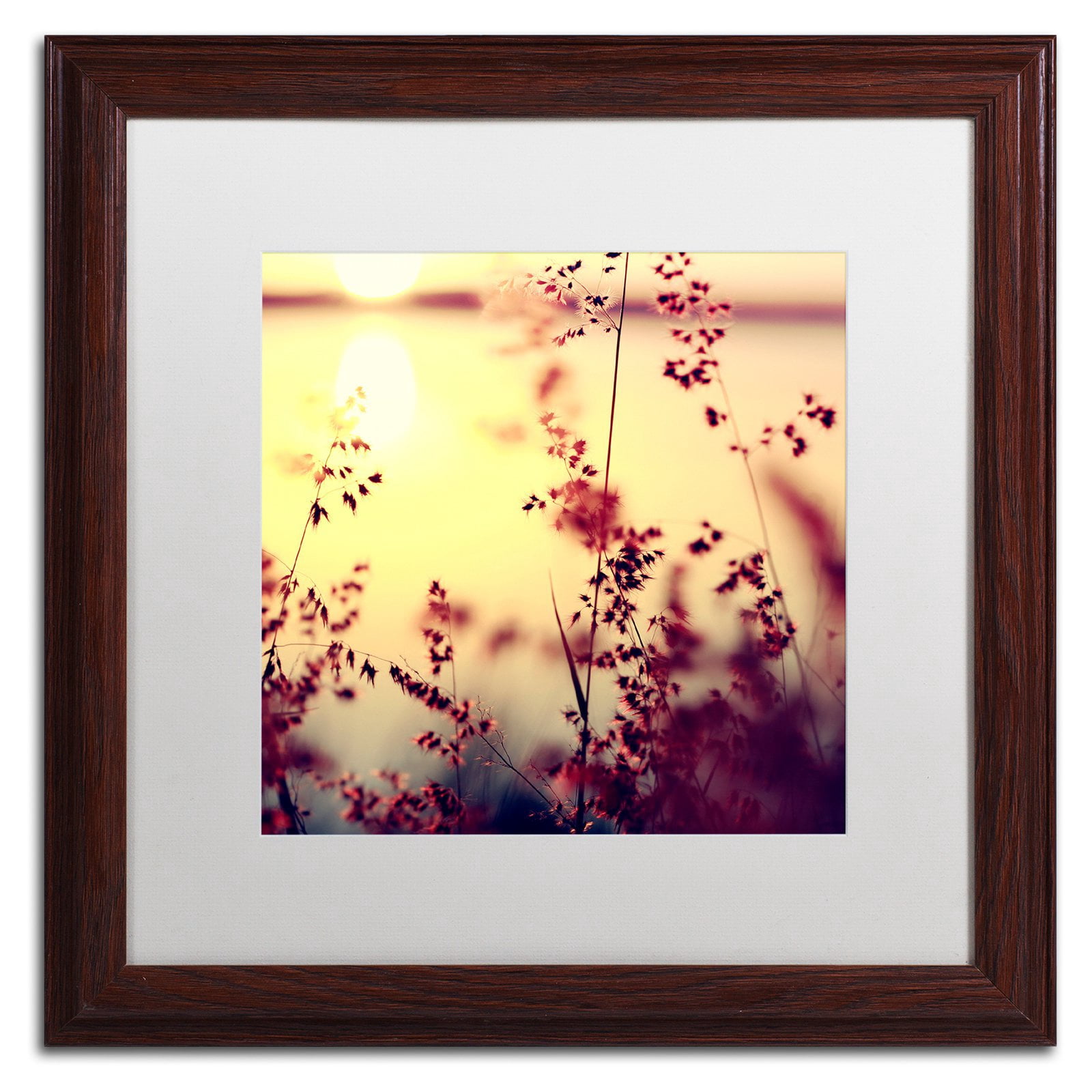 Trademark Fine Art "At the End of the Day" Canvas Art by Beata Czyzowska Young, White Matte, Black Frame