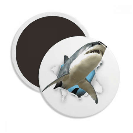 

Animal Paper Break Shocks Sharks Round Ceracs Fridge Magnet Keepsake Decoration