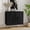 2door-Black, variant on CBJCBJ Morden Floral 2 Doors Storage Cabinet Credenzas & Buffet Sideboards with Adjustable, Black