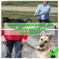 thumbnail image 4 of Tactical Dog Leash, Dual Handle Absorbing Bungee Lead. Pet Leash with Two Handles, Padded Handles. For Medium and Large Dogs, 4 of 9