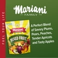 Mariani Mixed Fruit 32 oz