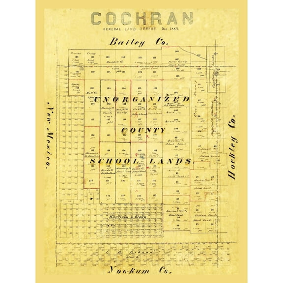 Historic County Map - Cochran County Texas - 1884 - Vintage Wall Art