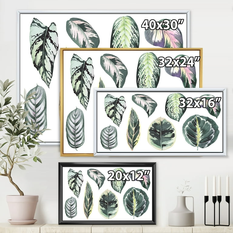 Tropical Calathea Leaves On White 32 in x 16 in Framed Painting Canvas Art  Print, by Designart - Walmart.com