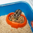 thumbnail image 6 of Ferplast Combi 2 Starter Hamster Cage, IncludesWater Bottle, Feeding Bowl, and Cozy House, 31.3L x 11.61W x 10.35H Inches, Blue, 6 of 8