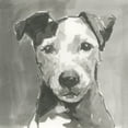 thumbnail image 2 of Cartissi   26x26 White Modern Wood Framed Museum Art Print Titled - A Very Neutral Modern Dog VI, 2 of 4