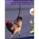 thumbnail image 4 of Adjustable Chicken Harness With Leash, Breathable Harness Vest For Duck & Goose, Pet Harness Leash Set Of 3, 4 of 5
