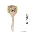 thumbnail image 3 of Magnolia Brushes - 12" Hardwood Fender Brush - Tampico - Atlas Logo - Full Case, 3 of 5