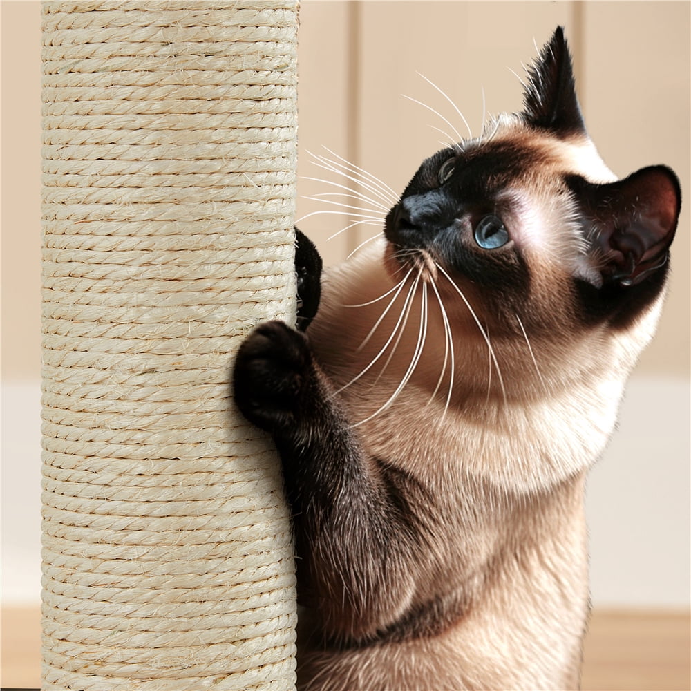 Yaheetech 53.9" H Cat Tree with Double Condos, Scratching Posts & Ramp, Black