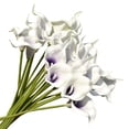 thumbnail image 4 of Paquete de flores artificiales Flor de simulación Adorno de mesa de oficina en casa Decoración floral falsa, Negro 20 piezas Advancent HA8913-04B, 4 of 6