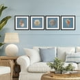 thumbnail image 2 of Stupell Industries Soft Sea Shell Collection 4 Piece Black Framed Print Under Glass Set design by Julia Purinton, 13 x 13, 2 of 10