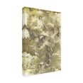 thumbnail image 2 of Kathryn Phillips 'Eco Print VII' Canvas Art, 2 of 3