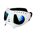 thumbnail image 1 of Gafas de Sol para Perros Gafas para Mascotas Gafas de Protección Contra Nieb Gafas Sunnimix Gafas impermeables, 1 of 8