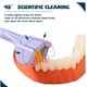 thumbnail image 2 of Cepillo de dientes de 3 lados para adultos, con forma de macarrón, color ✨b F8W3, 2 of 6
