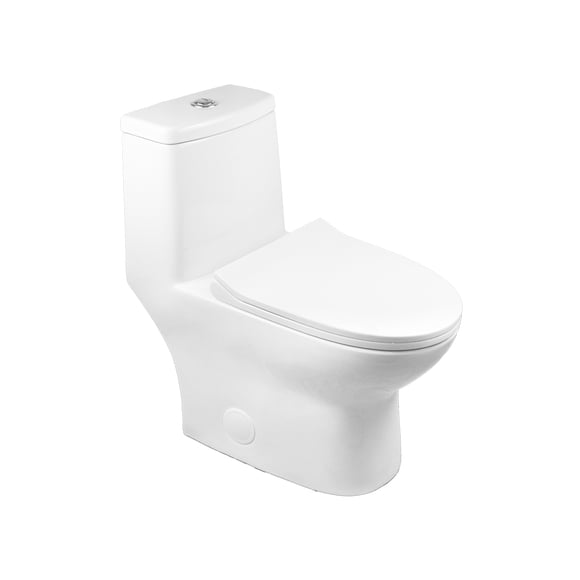 A&E Bath and Shower Drovia One-Piece Dual Flush Toilet With Full-Skirted Concealed Trap-way