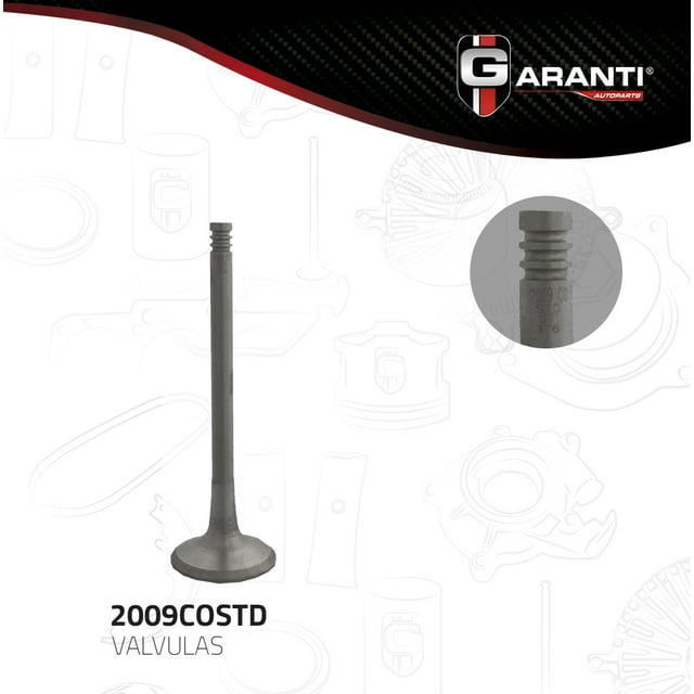Valvula Escape Garanti Para Saturn L300 2001 - 2005 (Garanti)