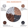 thumbnail image 2 of The Bonsai Supply Soil Mix, Fast Draining Coarse Blend for All Bonsai Varieties, 2 of 4