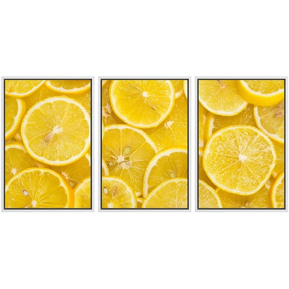 wall26 - 3 Piece Framed Canvas Wall Art - Background of Sliced Ripe Lemons Organic, Pattern - Modern Home Art Stretched and Framed Ready to Hang - 24"x36"x3 WHITE