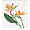 thumbnail image 3 of Ambesonne Hawaiian Colors Shower Curtain, Bird of Paradise, 69"Wx84"L, White Multicolor, 3 of 3