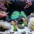 thumbnail image 5 of WHAMVOX 10Ud Acuáticas Artificiales Para Acuario Natural Para De, 5 of 5