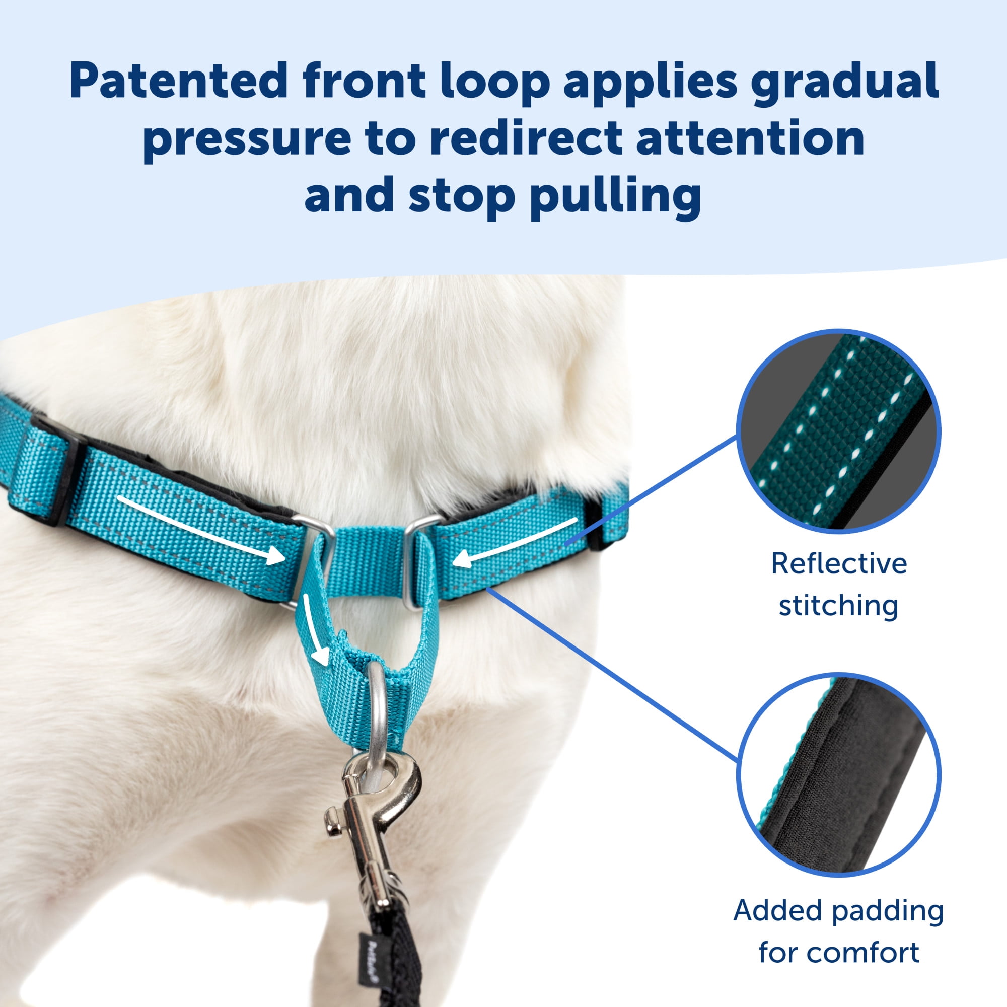 how to properly put on an easy walk harness