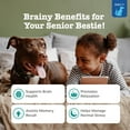 thumbnail image 3 of Zesty Paws Senior Advanced Calming & Cognition Behavior Bites for Senior Dogs, for Brain Function & Stress Support, Chicken Flavor, 90ct, 3 of 13