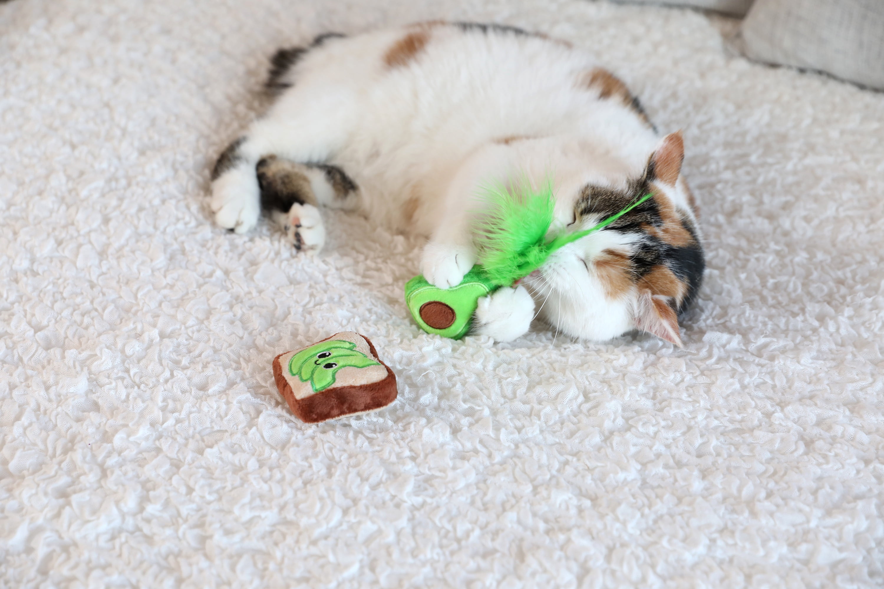Quirky Kitty Avocado Toast Catnip Interactive Plush Cat Toy