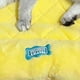 thumbnail image 3 of Cama para gatos, suave y esponjoso, para todas las estaciones, bonito patrón de dibujos animados, cojín para mascotas, gatos, perros, Ananas de tamaño pequeño, 3 of 5