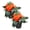 Orange, variant on Live Flowering New Guinea Impatiens - Orange (2 Plants Per Pack) - Beautiful Flowering Shade Flowers - 12" Tall by 5" Wide in 1 Qt Pot
