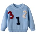 thumbnail image 2 of Afdoent Girls Sweaters Embroidered Soft Knit Sweater Kids Fall Pullover Sweaters Top Birthday Daily Wear 6-9 Months, 2 of 8