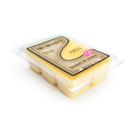 Lemongrass Wax Melts - 1 Highly Scented 3 Oz. Bar - Made With Natural Oils - Fresh & Clean Air Freshener Cubes Collection
