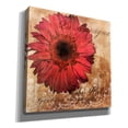 thumbnail image 2 of Epic Graffiti 'Gerbera Italia'  by Art Licensing Studio Canvas Wall Art, 26" x 26", 2 of 8