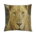 thumbnail image 2 of Ahgly Company Animals Lion Coussin Intérieur, 18 Pouces par 18 Pouces, 2 of 6